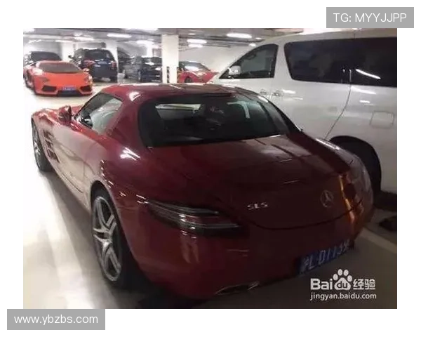 Lacie：不止是名字，更是一种生活态度